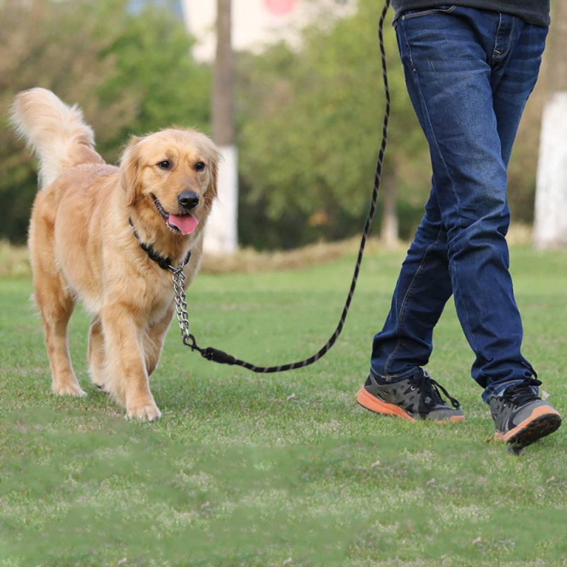 Laisse de promo chien